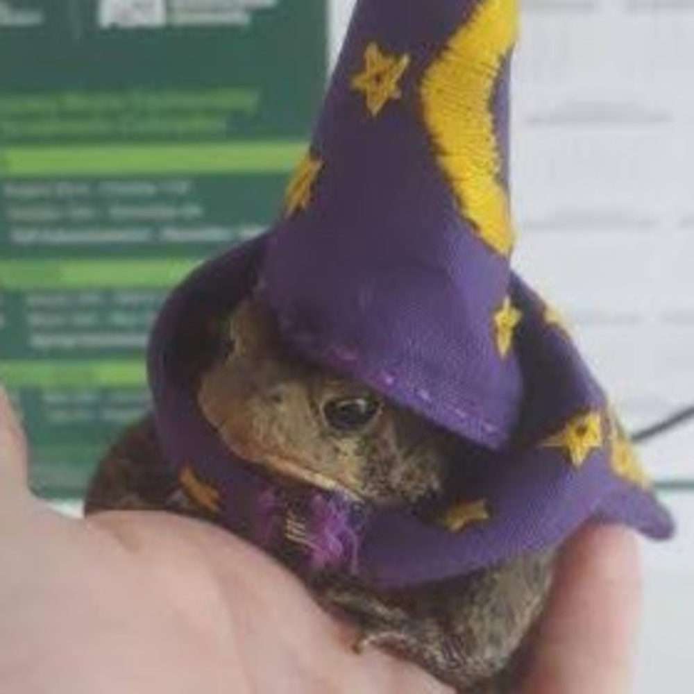 Meet your Posher, Caitlyn reber